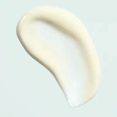 Image PREVENTION+ Daily Perfecting Tinted Primer SPF 50